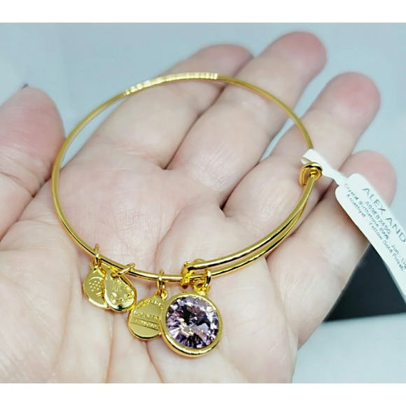 Alex And Ani June Birthstone Bracelet New In Box - Picture 4 of 9